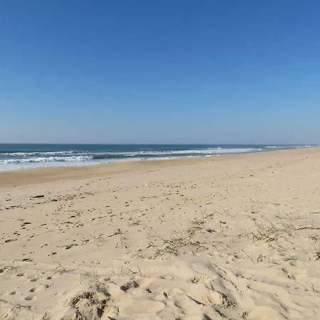 Casa Da Murtinheira Hébergement de vacances