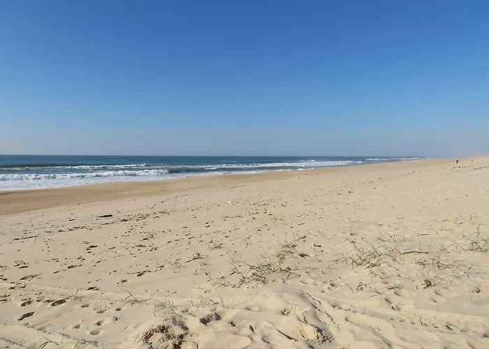 Casa Da Murtinheira Hébergement de vacances